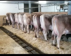 81a87c12-7309-4516-a920-c23f3280ac2a